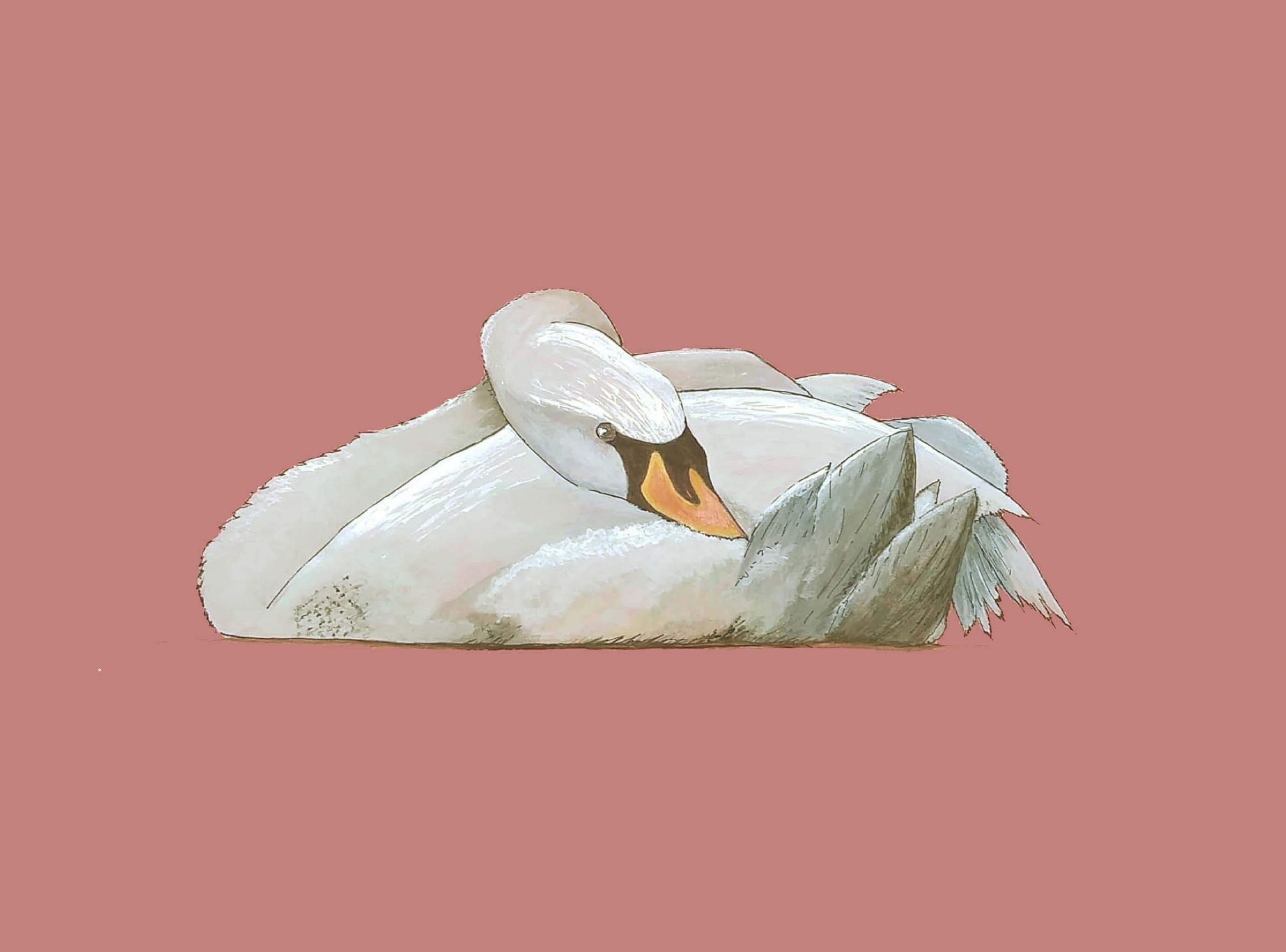 Swan Lake